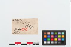 Etiketten zu Bronzekahnfibel (NHMW-PRAE-024014)